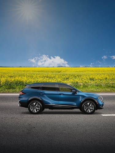 Adventure far & wide.